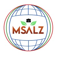 msalz.com logo